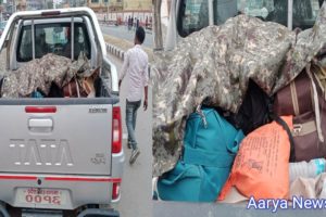 सरकारी गाडीको व्यापक दुरुपयोग: बागमती देखि कोशी प्रदेश सम्म परिवारलाई घुमाउदै
