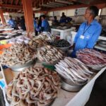 सिमा पारीको माछा विराटनगरमा फालाफाल , प्रहरी मुक्त दर्शक