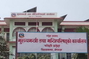 कामभन्दा हल्ला बढी: प्रदेश सरकारद्वारा झुटको व्यापार तीव्र