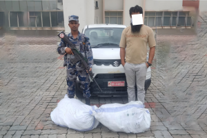 सशस्त्रद्वारा निगरानी जारी: कारमा लुकाई ल्याएको सामान बरामद