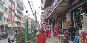 कागजी घोडाको कारण – महावीर सडक सौन्दर्यकरण कुरूप