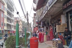 कागजी घोडाको कारण – महावीर सडक सौन्दर्यकरण कुरूप