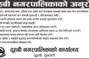 रोजगार केन्द्रित तालिममा बेमेल