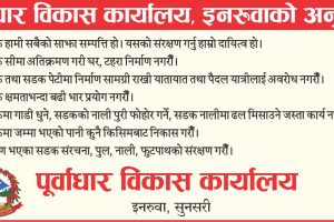 राज्यका हरेक निकाय निरीहः राजस्व चुहावट नियन्त्रण गर्ने निकाय मौन